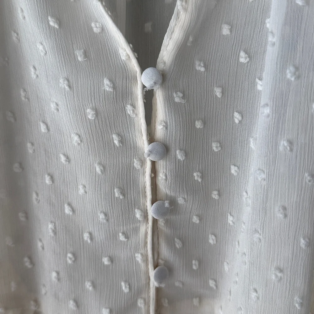 Zara Swiss Dot Sheer Button Down Blouse - Picture 7 of 11
